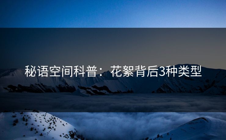秘语空间科普：花絮背后3种类型